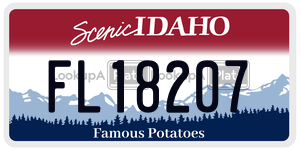 FL18207  license plate in ID