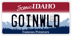 G0INWLD  license plate in ID