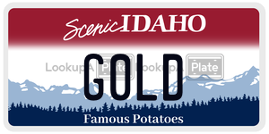 G0LD  license plate in ID