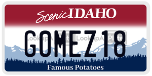 G0MEZ18  license plate in ID