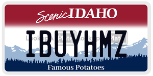 IBUYHMZ  license plate in ID