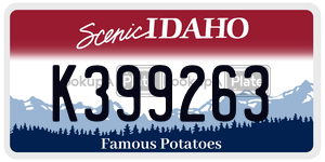 K399263  license plate in ID