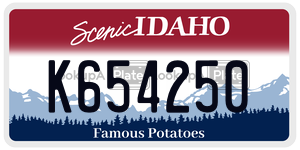 K654250  license plate in ID