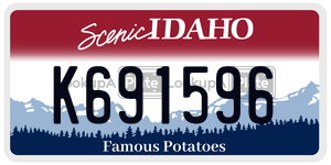 K691596  license plate in ID
