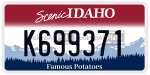 K699371  license plate in ID
