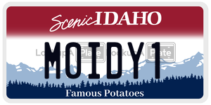 M0IDY1  license plate in ID