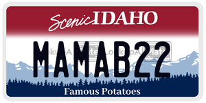 MAMAB22  license plate in ID