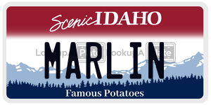 MARLIN  license plate in ID