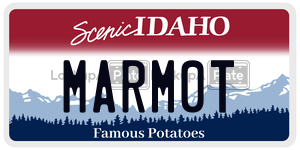 MARM0T  license plate in ID
