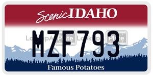 MZF793  license plate in ID