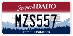 MZS557  license plate in ID