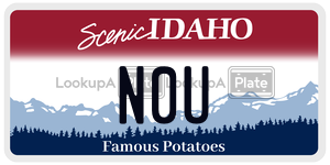 N0U  license plate in ID