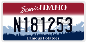 N181253  license plate in ID