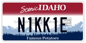 N1KK1E  license plate in ID