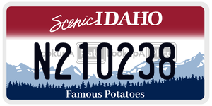 N210238  license plate in ID