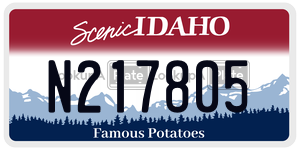 N217805  license plate in ID
