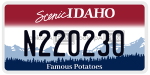 N220230  license plate in ID