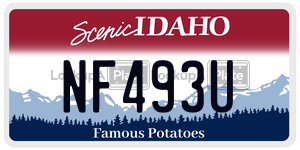 NF493U  license plate in ID