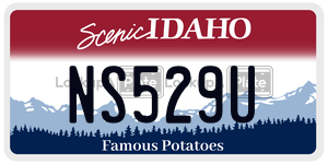NS529U  license plate in ID