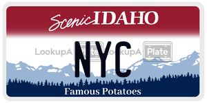NYC  license plate in ID