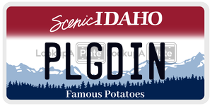 PLGDIN  license plate in ID
