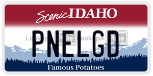 PNELGD  license plate in ID