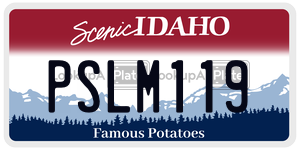 PSLM119  license plate in ID