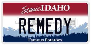 REMEDY  license plate in ID