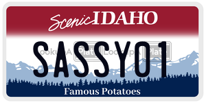 SASSY01  license plate in ID