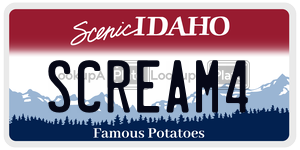 SCREAM4  license plate in ID