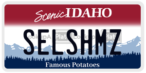 SELSHMZ  license plate in ID