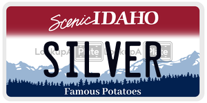 SILVER  license plate in ID