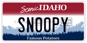 SN00PY  license plate in ID
