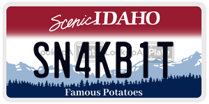 SN4KB1T  license plate in ID