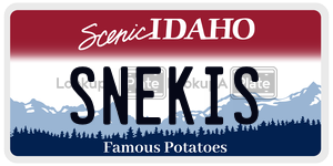 SNEKIS  license plate in ID
