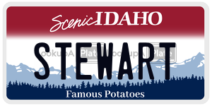 STEWART  license plate in ID