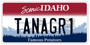 TANAGR1  license plate in ID