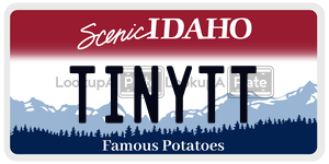 TINYTT  license plate in ID