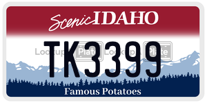 TK3399  license plate in ID