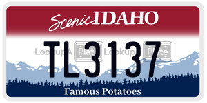 TL3137  license plate in ID