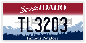 TL3203  license plate in ID