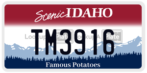 TM3916  license plate in ID