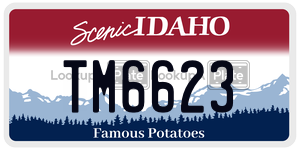 TM6623  license plate in ID