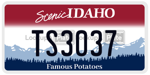 TS3037  license plate in ID