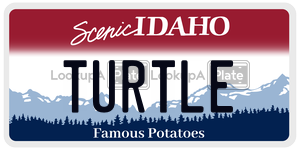 TURTLE  license plate in ID
