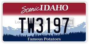 TW3197  license plate in ID