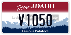V1050  license plate in ID