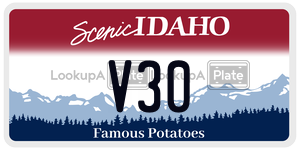 V30  license plate in ID