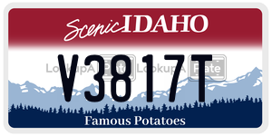 V3817T  license plate in ID