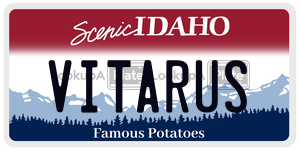 VITARUS  license plate in ID